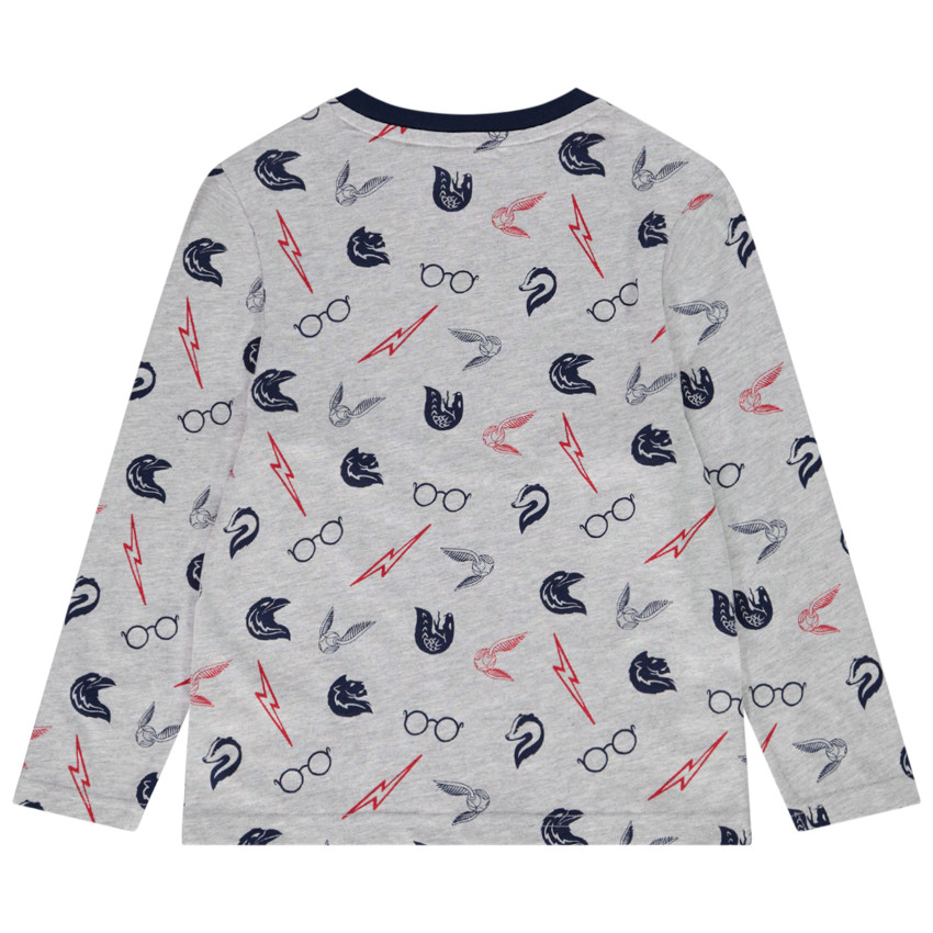 T-shirt manches longues imprimé Harry Potter Warner pour garçon 