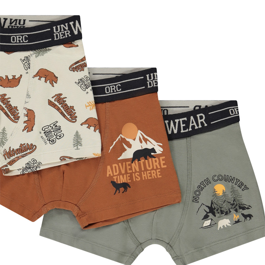 Set van 5 boxershorts met fantasie voor jongens 