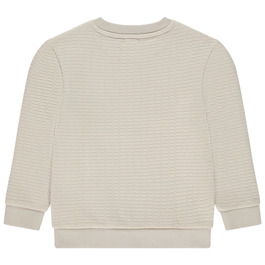 Fleece sweatshirt met fantasieprint voor jongens 