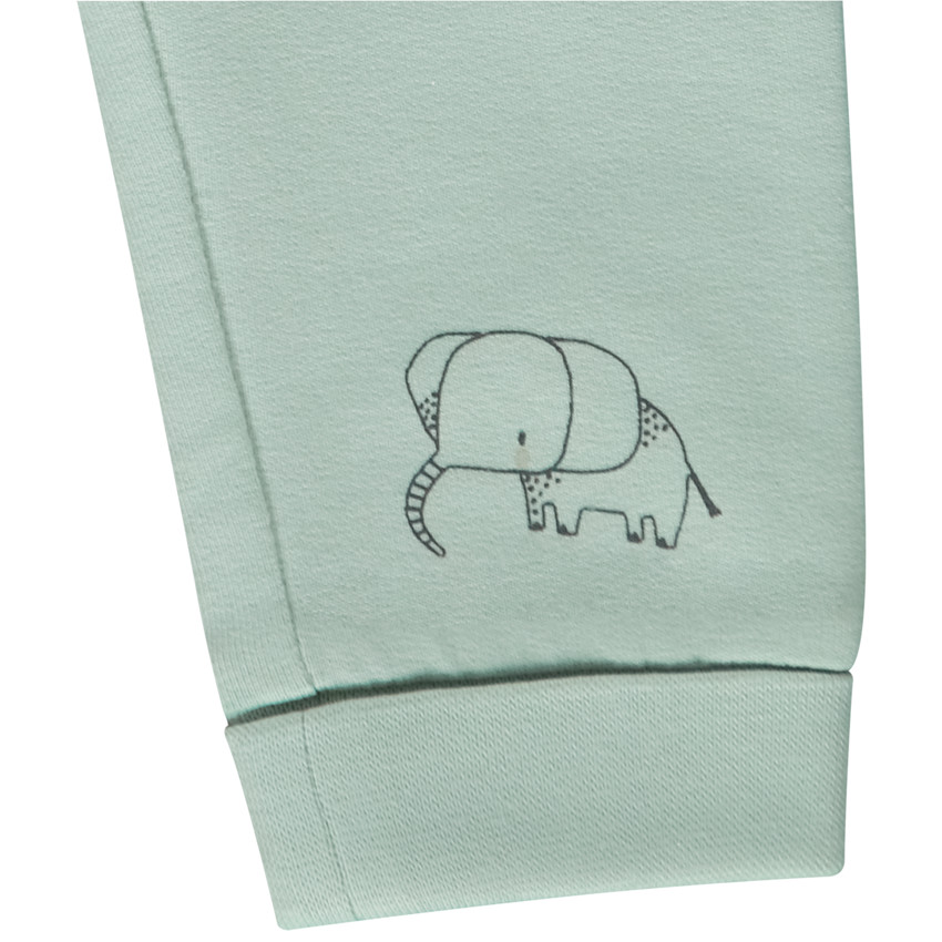 Set van 2 evoluerende boxershorts met olifanten voor baby jongens 