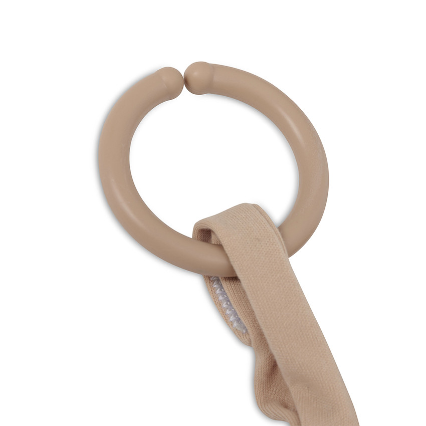 Jouet dinosaure Roarsome à suspendre biscuit  