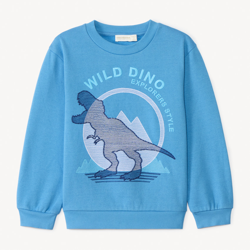 Sweat molleton brodé T-Rex pour garçon 