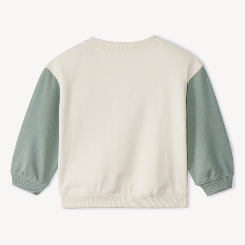 Oversized tweekleurig fleece sweatshirt met scooterprint voor jongens 