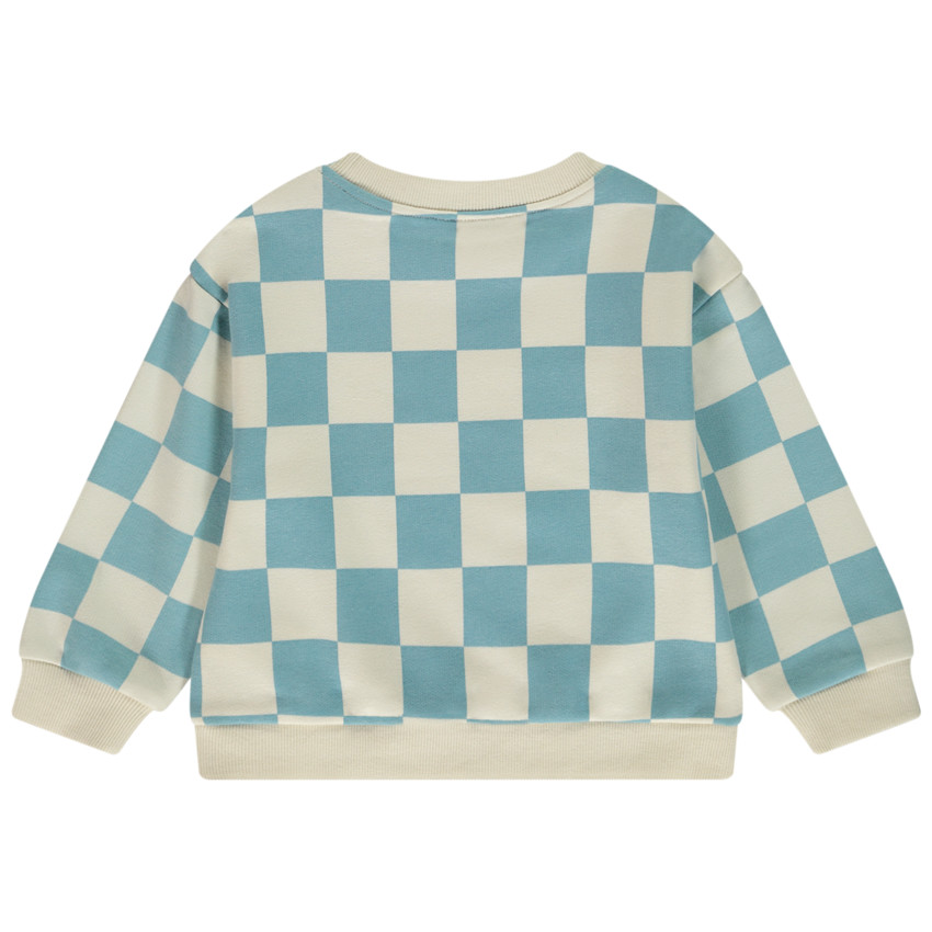 Oversize Sweatshirt met ruitpatroon en dinosaurusprint voor babyjongen 