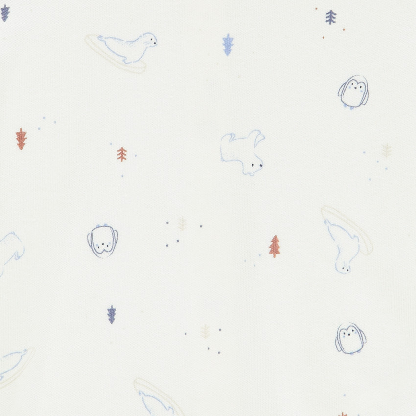 Ensemble salopette + t-shirt fantaisie pour bébé garçon 