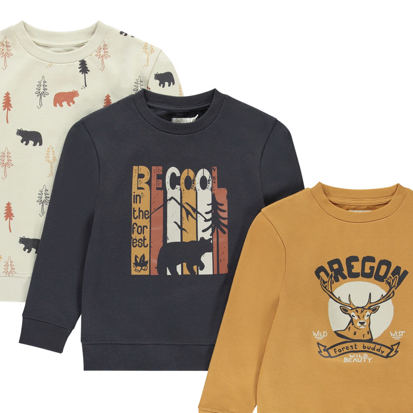 Lot de 3 sweats molleton motifs fantaisie pour garçon 