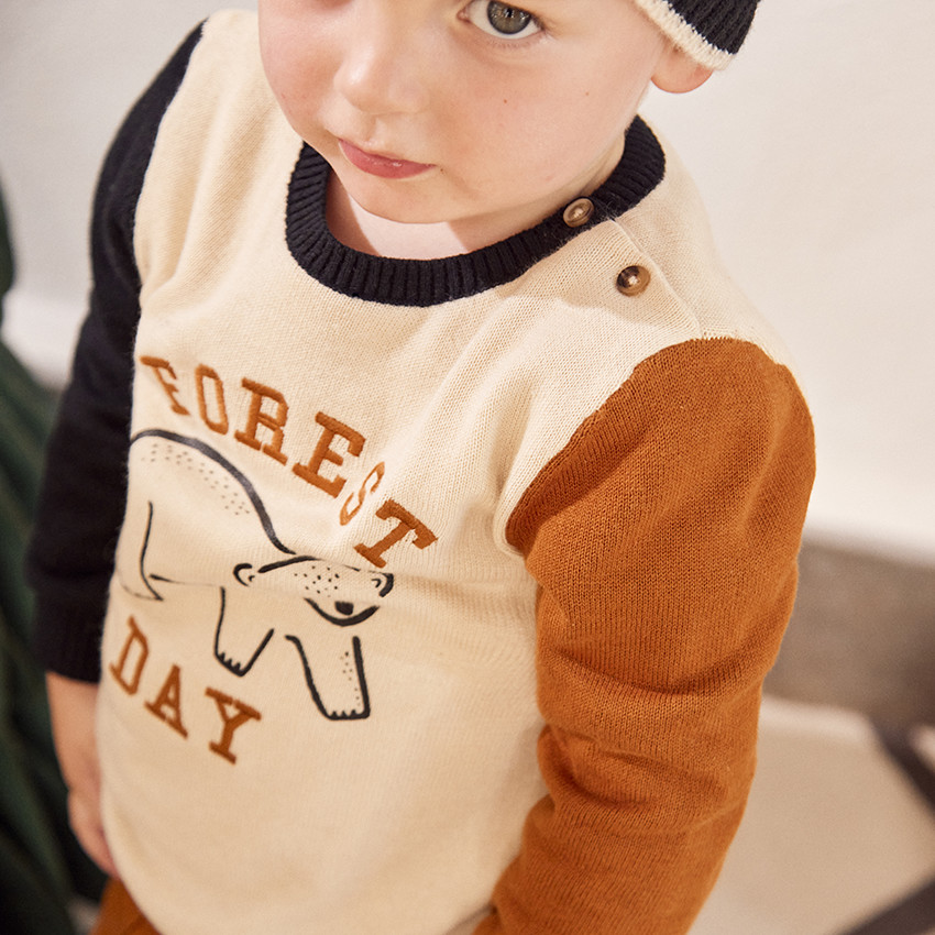 Pull effet color block print ours pour bébé garçon 