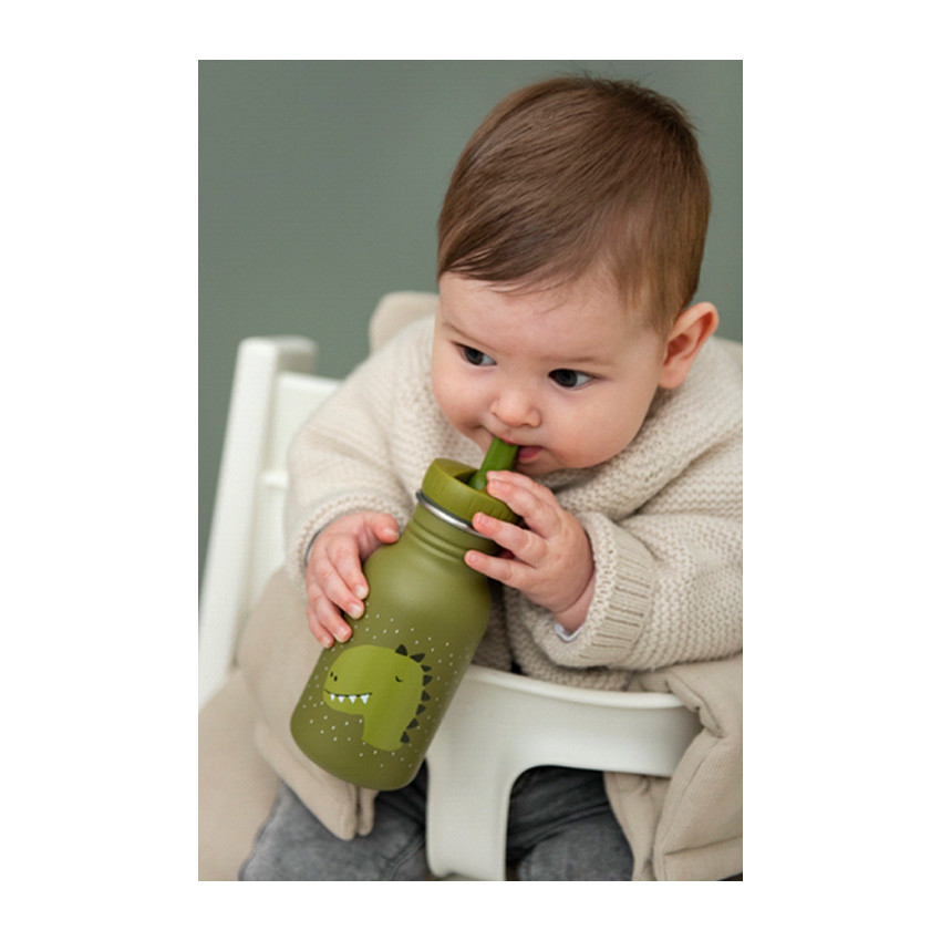 Gourde en acier inoxydable Mr Dino 350ml 