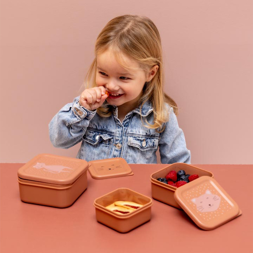 Set van 3 nestbare roze lunchboxen Mrs. Cat 