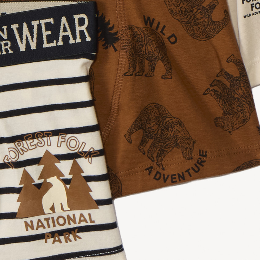 Lot de 5 boxers Bear fantaisie garçon 