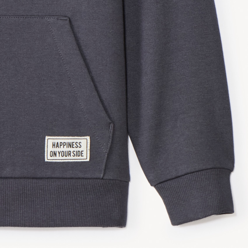 Sweatshirt met effen fleecekap voor jongens 
