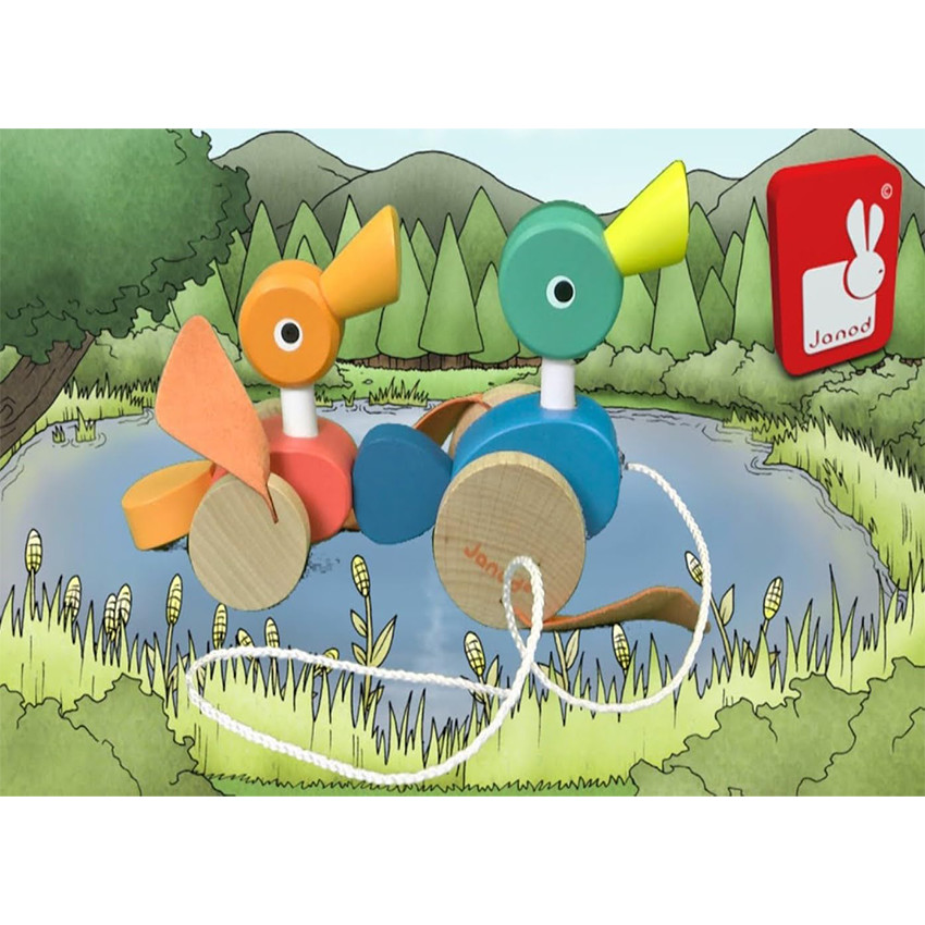 Canard Family à promener  