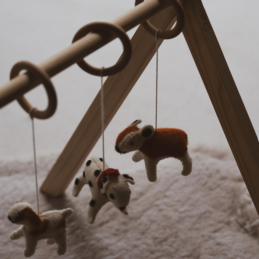 Set jouets d'activité Arche non-inclus 5 pcs Chien 