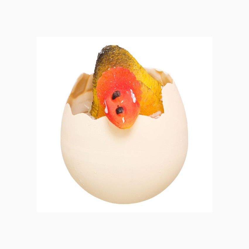 Magisch dinosaurus ei M72 