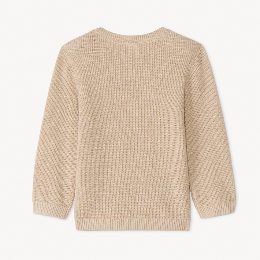 Trui met geborduurde cactus voor babyjongen 