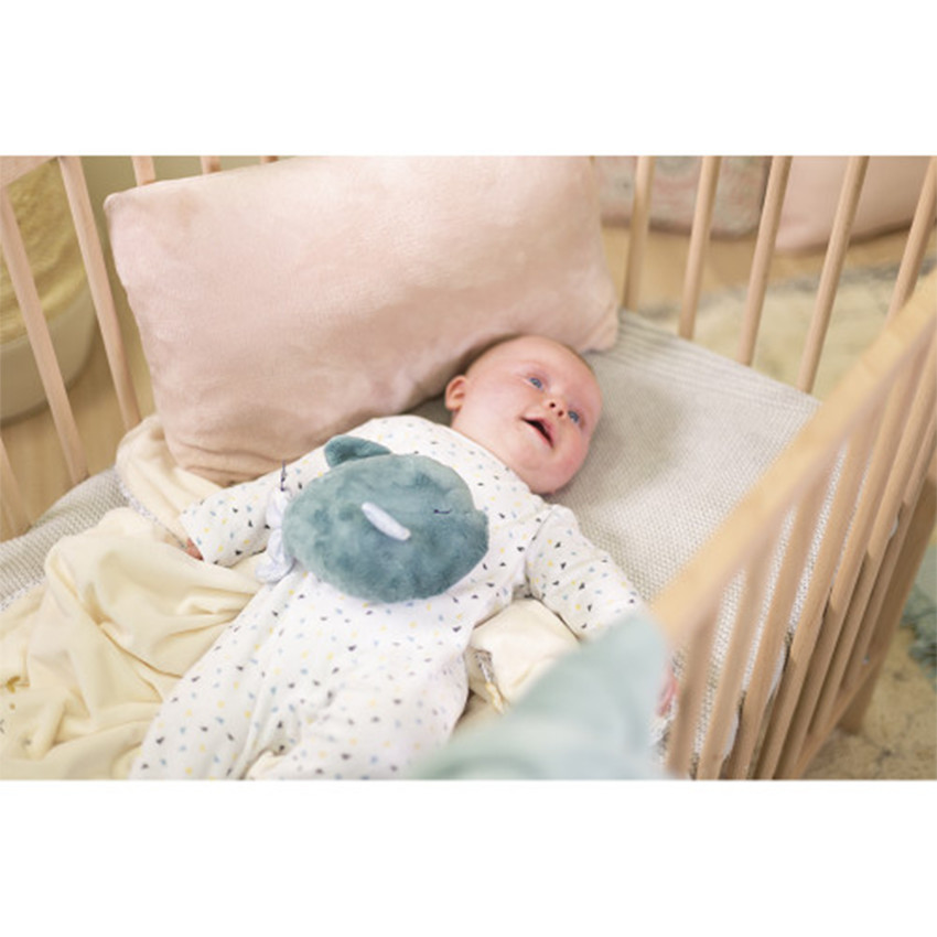 Bouillotte-peluche bien-être poisson S 