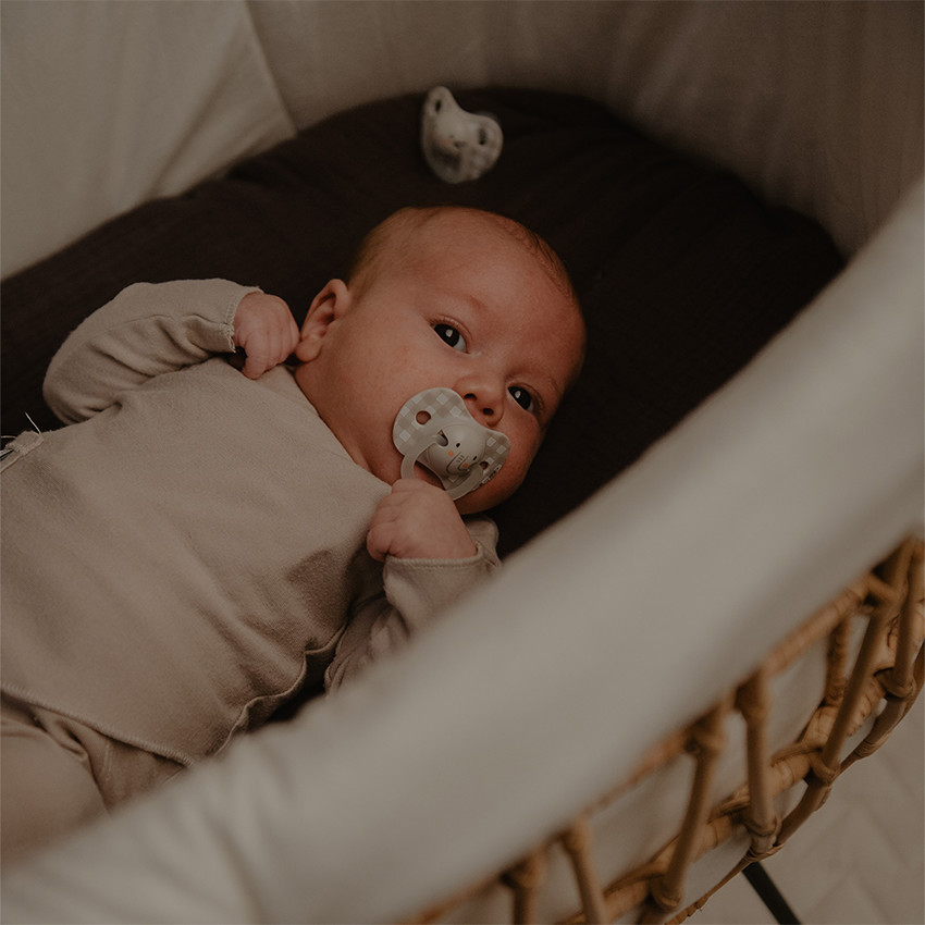 Lot de 2 sucettes silicone SX Pro Night & Day 0-6M éléphant 