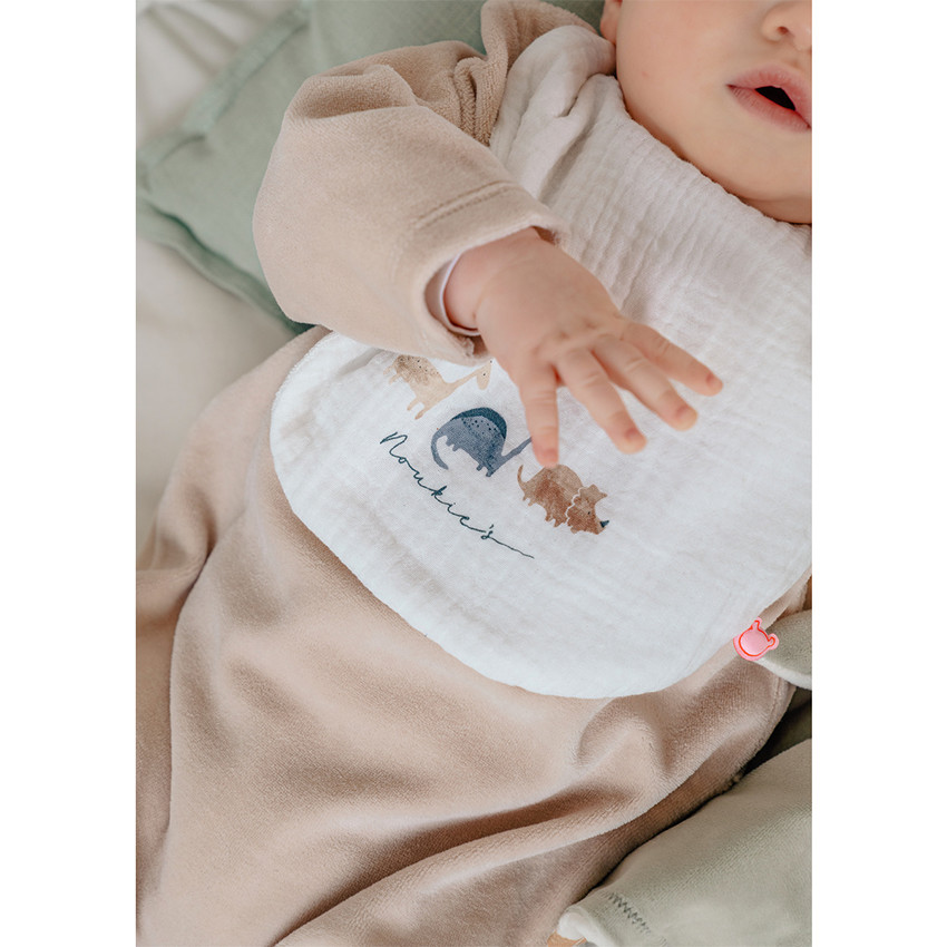 Set van 3 slabbetjes mousseline Bio Dinos 1-12m 