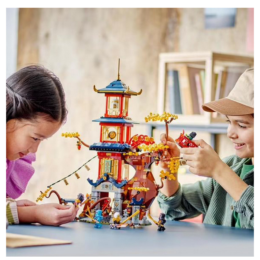 Ninjago De energiekernen van de Tempel van de Draak 71795 