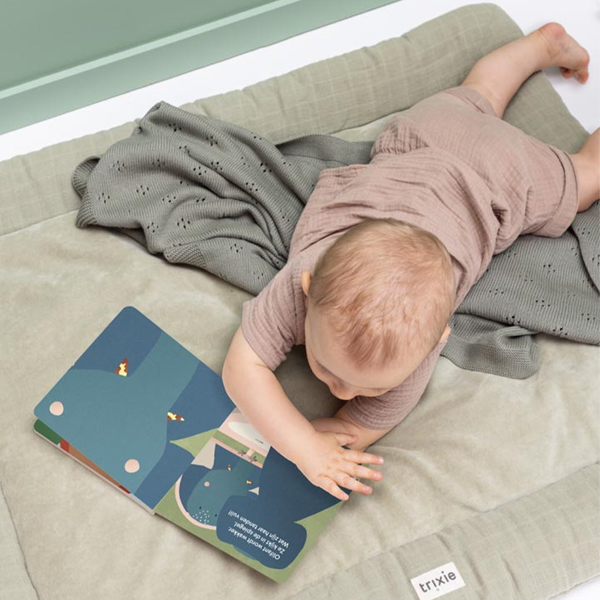 Livre de conte - Olifant heeft vuile tanden - Uniquement en Néerlandais 