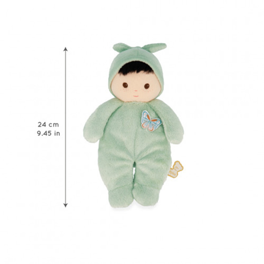 Popje Tender Pilea Groen 24cm 