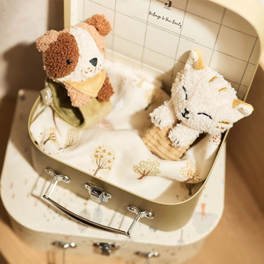 Hochet main et pied - Charlie - Tiny Park  