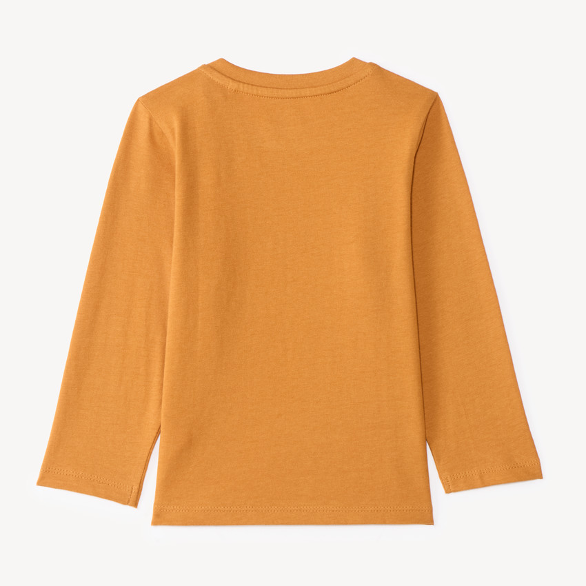 T-shirt manches longues bébé garçon imprimé ourson 