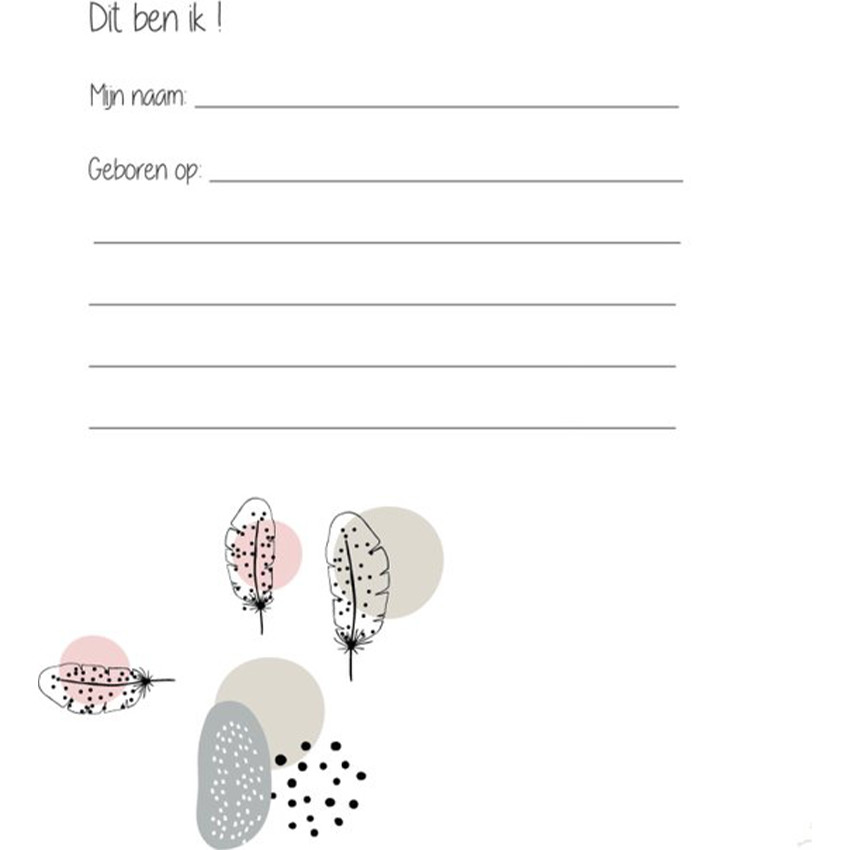 Livre Album de poésie "Texte Néelandais" Rose 