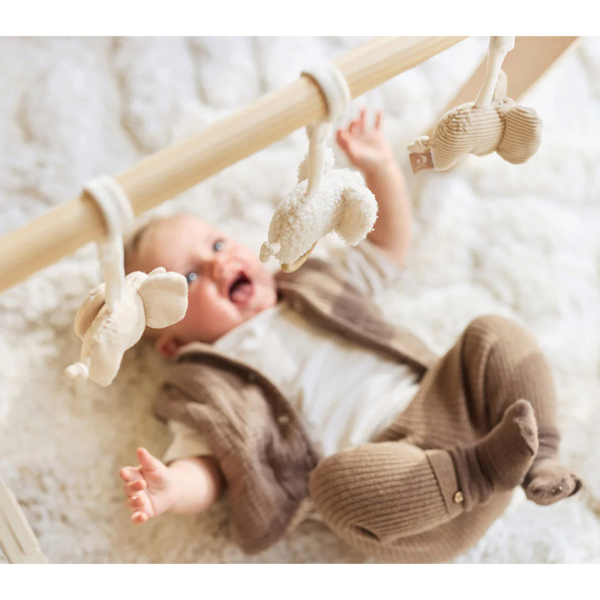 Jouets pour arche d'éveil - Elephant Tales 