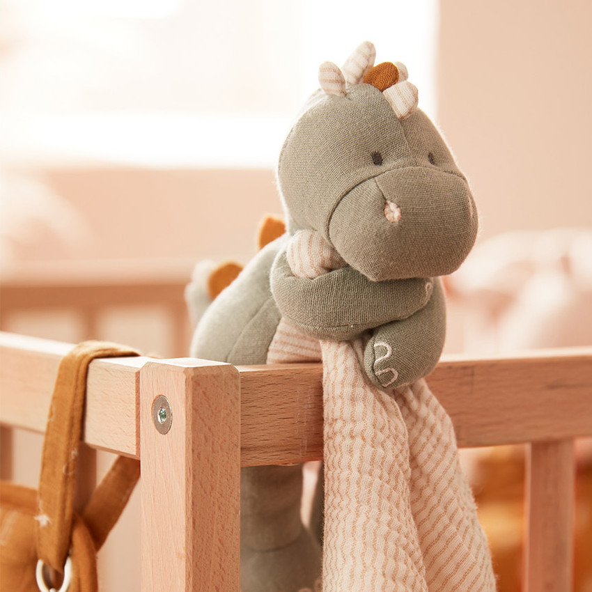 Ma première couverture Tiga Stegi & Ops 