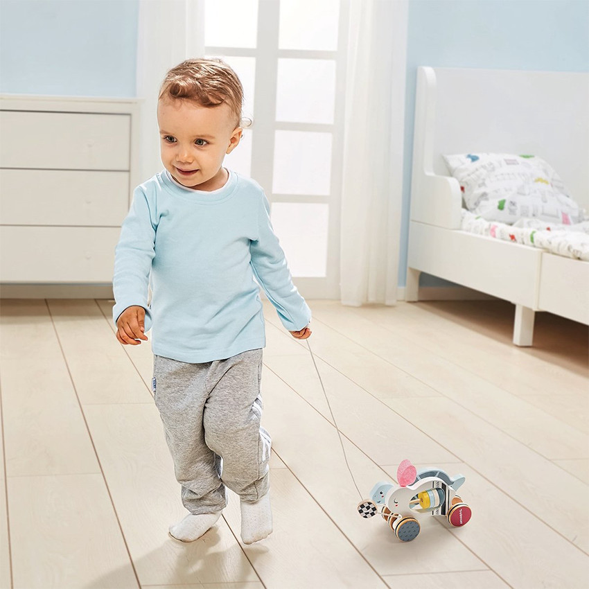 De haas en shildpad trekdier 12m+ 