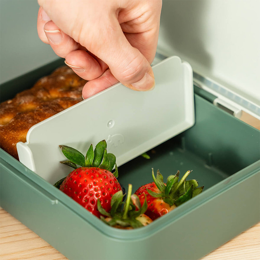 Lunchbox avec séparateur Tiny Trails Vert 