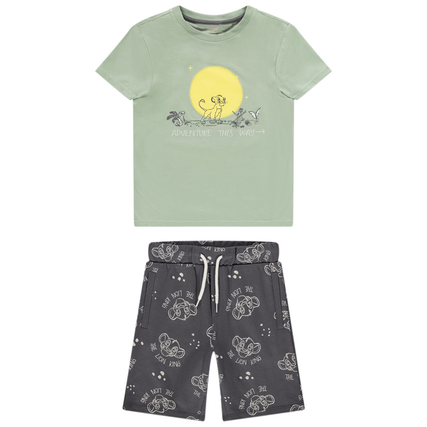 Kort setje 2-delig De Leeuwenkoning Disney voor jongen 