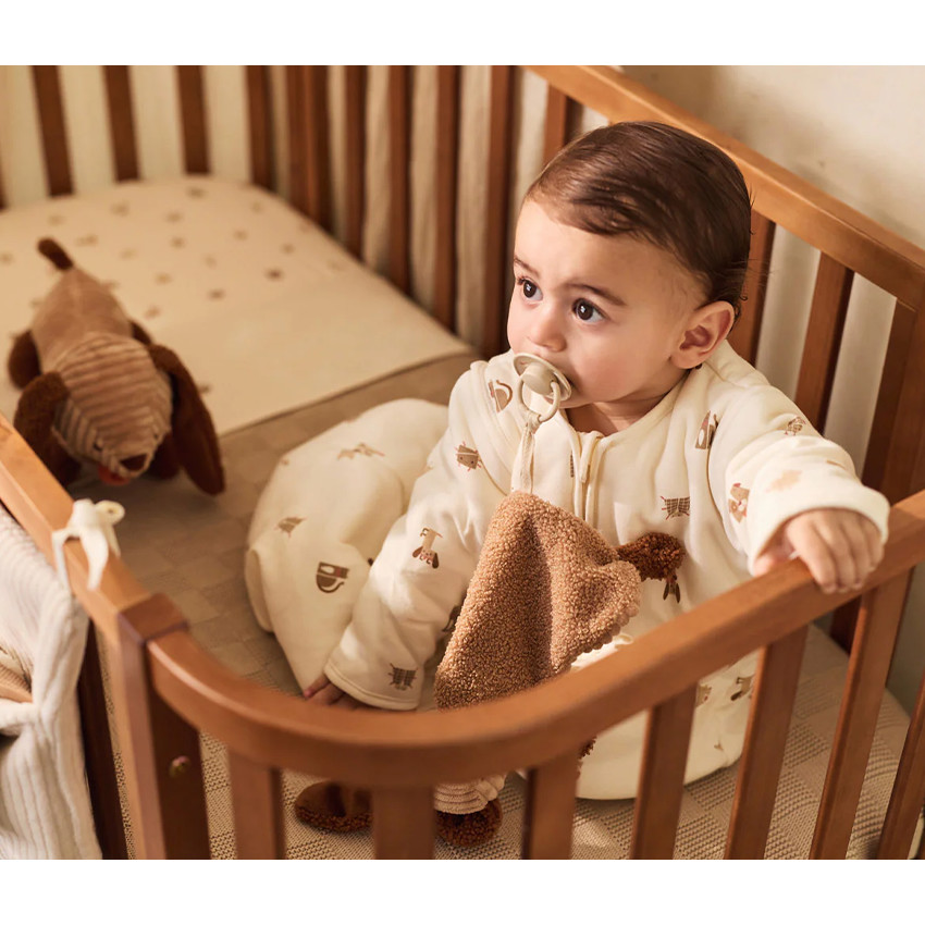 Attache sucette - Diego le chien - Animal Friens - Biscuit 