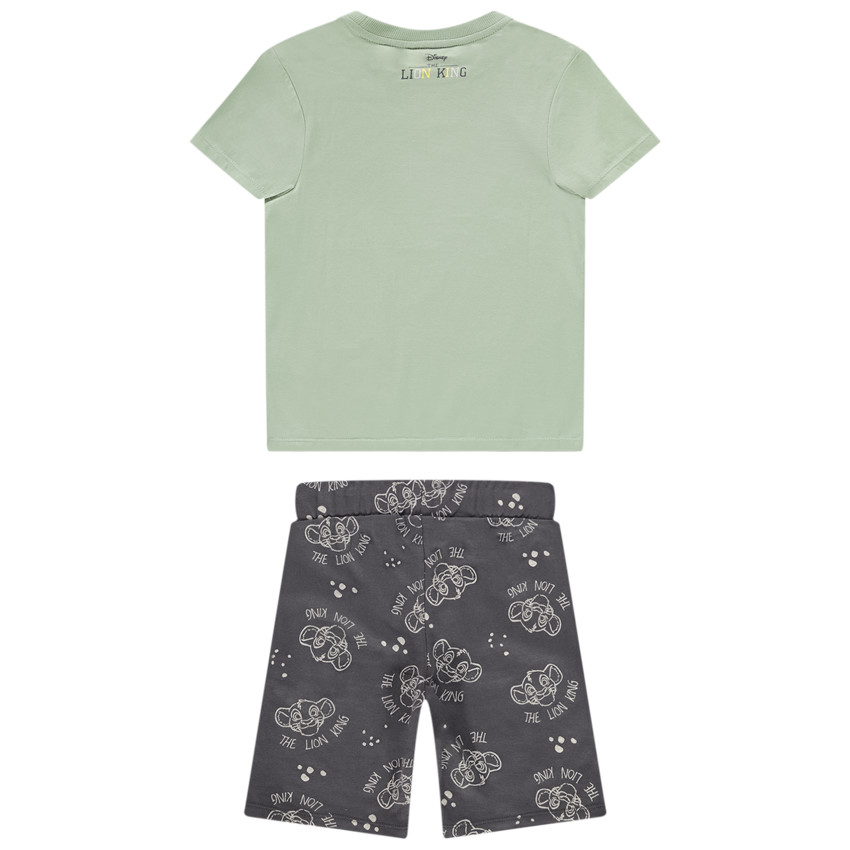 Kort setje 2-delig De Leeuwenkoning Disney voor jongen 