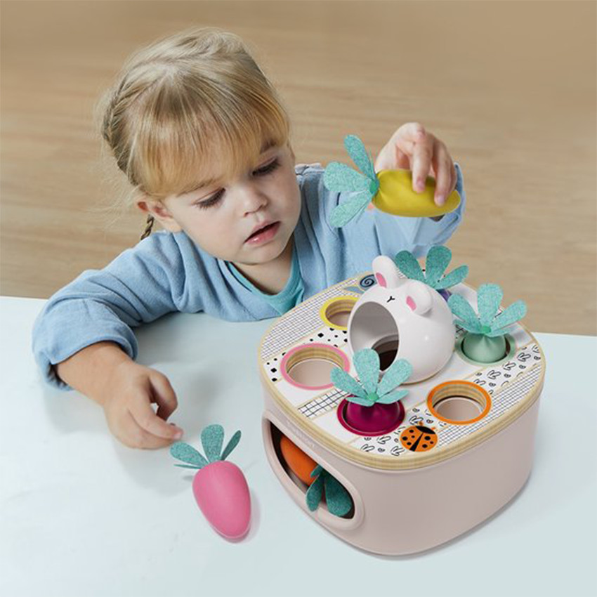 Jeux de formes associer & trier les carottes 12m+ 