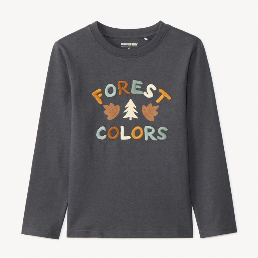 T-shirt manches longues brodé et printé garçon 
