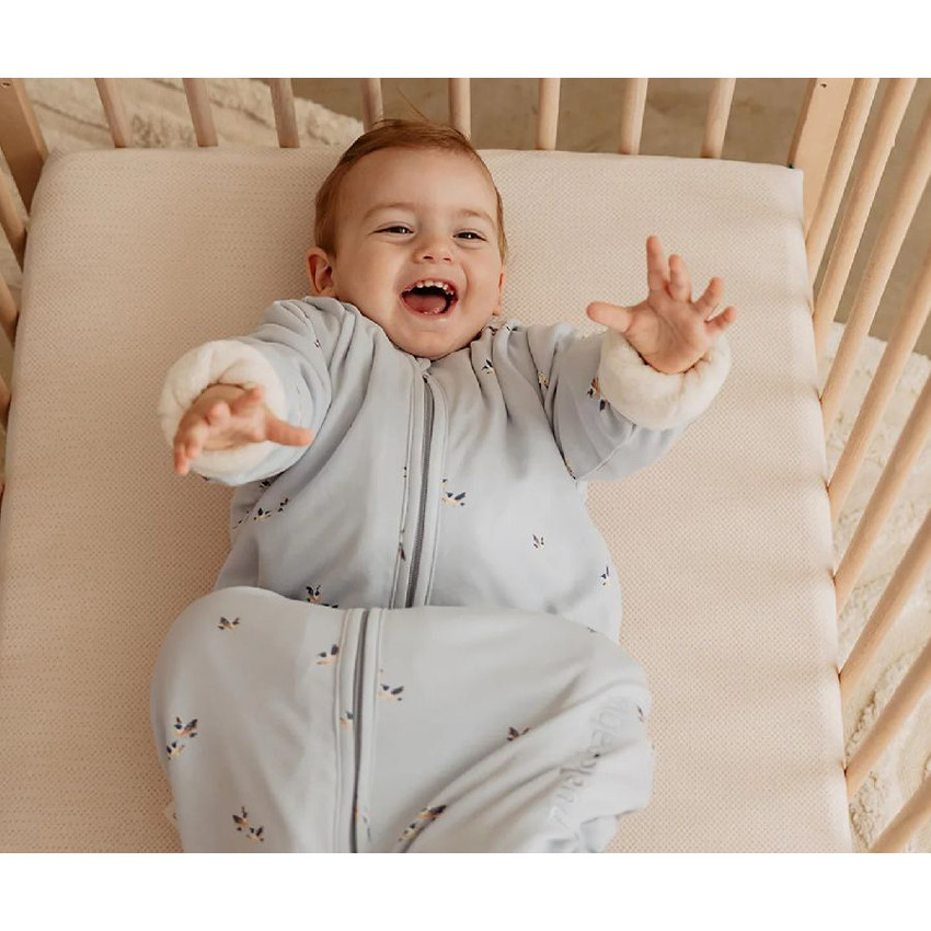 Gigoteuse 4 saisons manches amovibles  6m/2,5ans  A Birds 