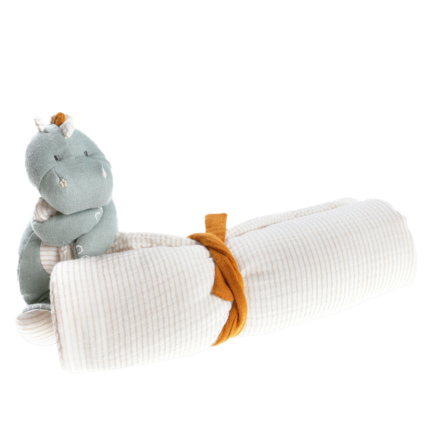 Ma première couverture Tiga Stegi & Ops 