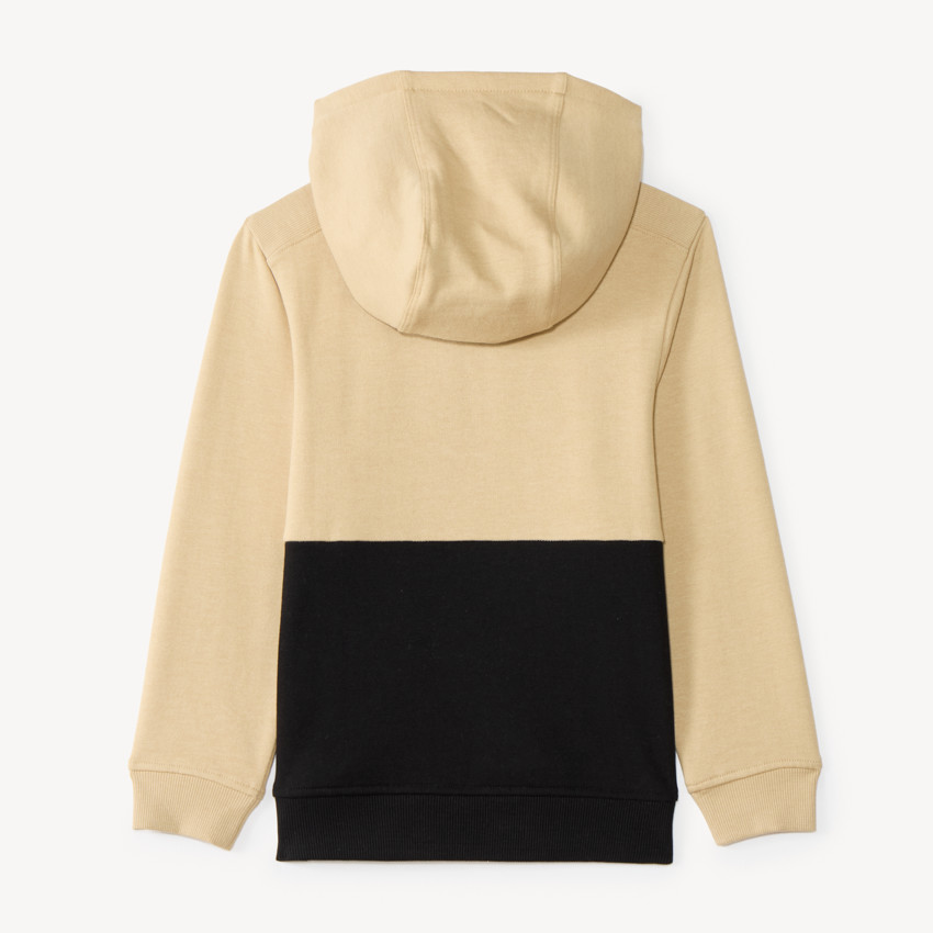 Sweat à capuche garçon col zippé bicolore  