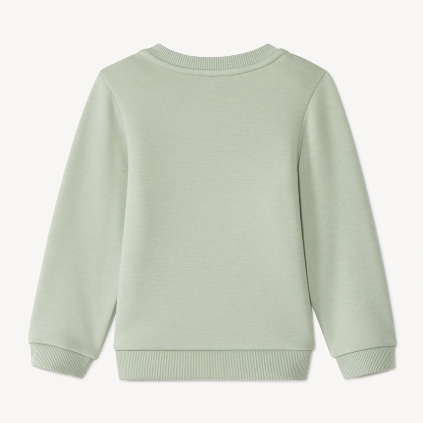 Sweatshirt van fleece met 3D lusjespatches voor babymeisje 