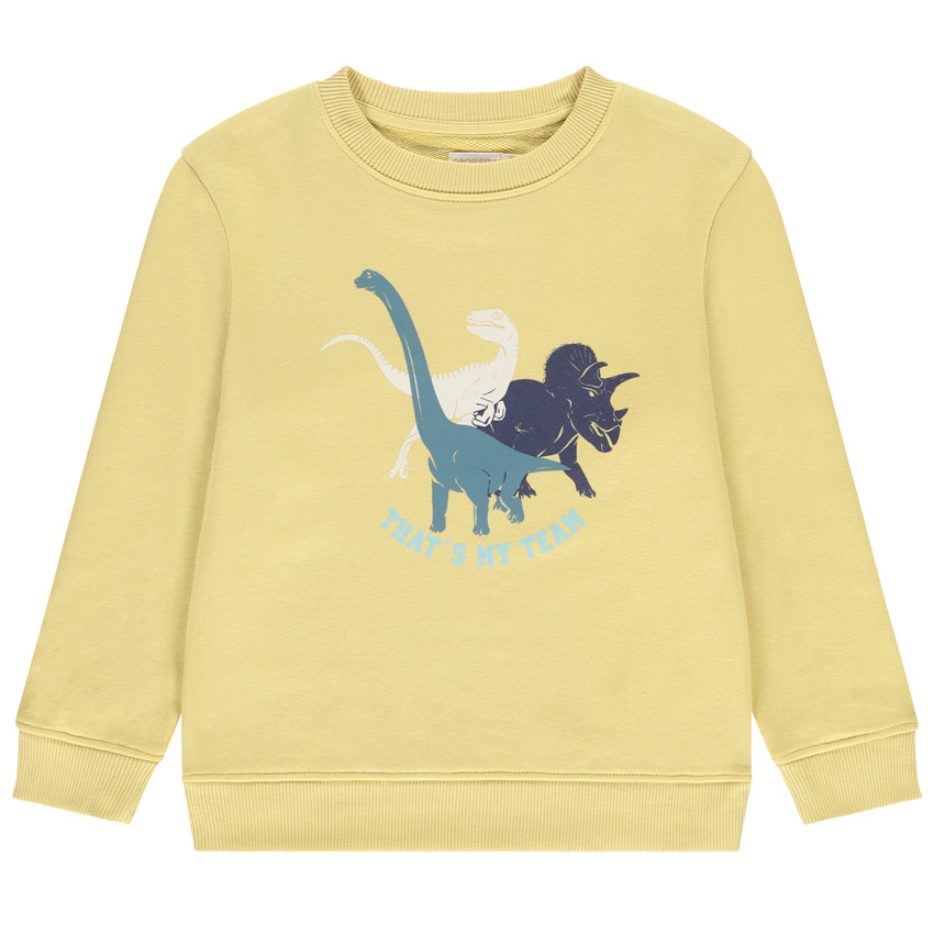 Sweat molleton print dinosaures pour garçon 