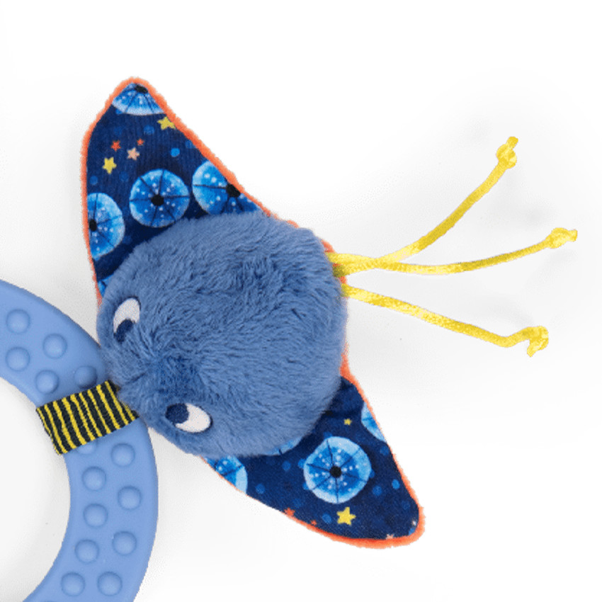 Activiteitenring De avonturen van Paulie  