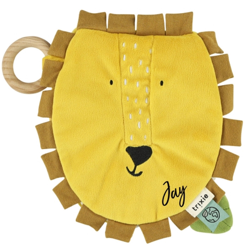 Livre d'éveil Mr lion 