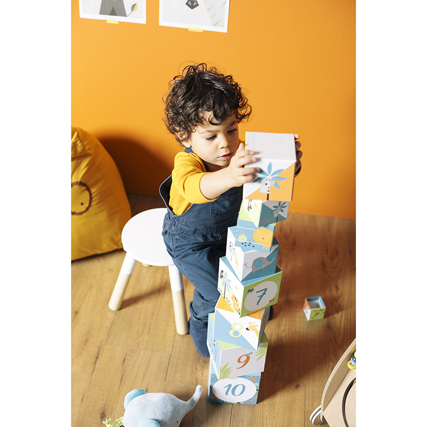 Jouet 1er âge cubes à empiler Crazy Jungle 