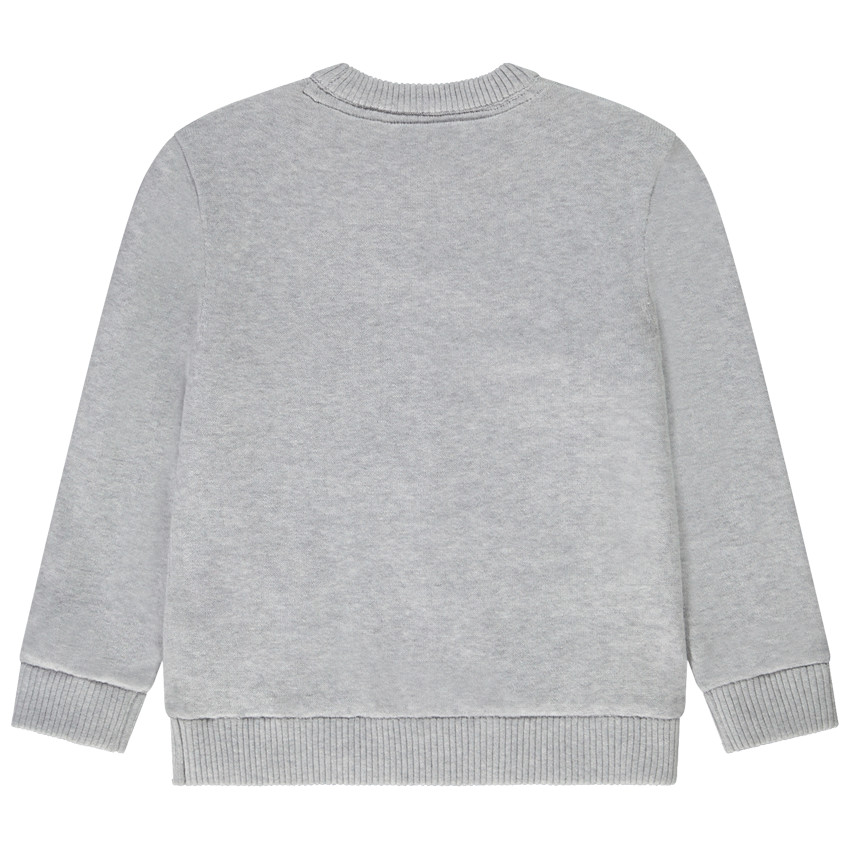 Pull print Alaska doublé velours pour garçon 