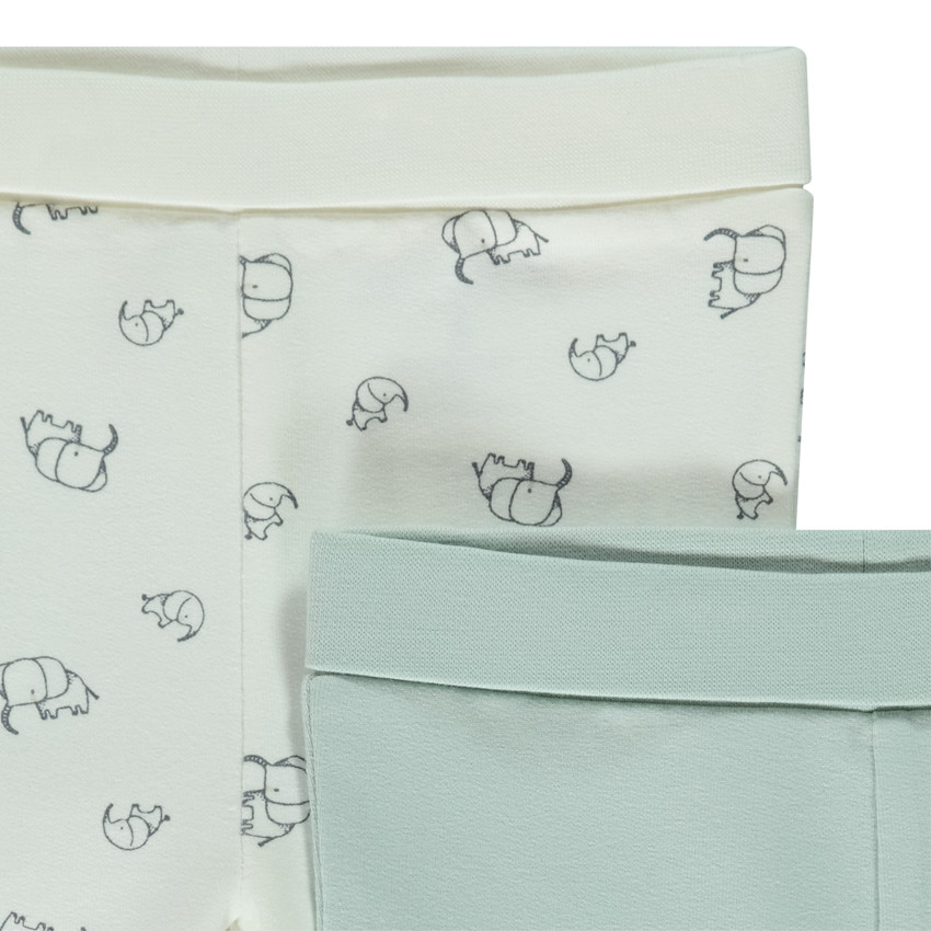 Set van 2 evoluerende boxershorts met olifanten voor baby jongens 