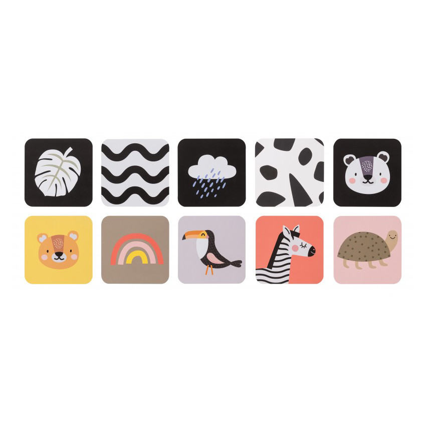 Kit de naissance Savannah 