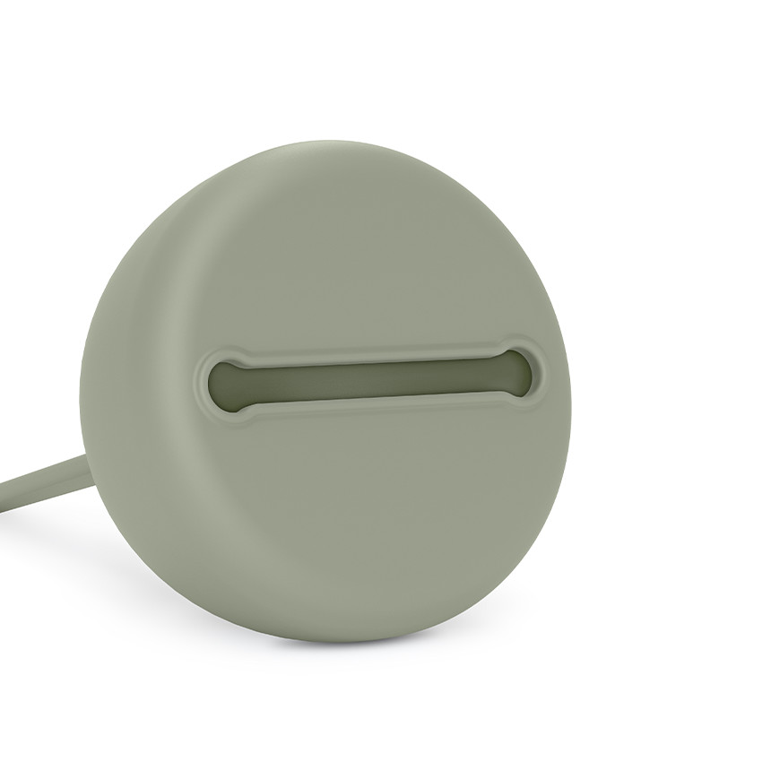 Boîte pour sucettes Colour Essence en silicone Vert 