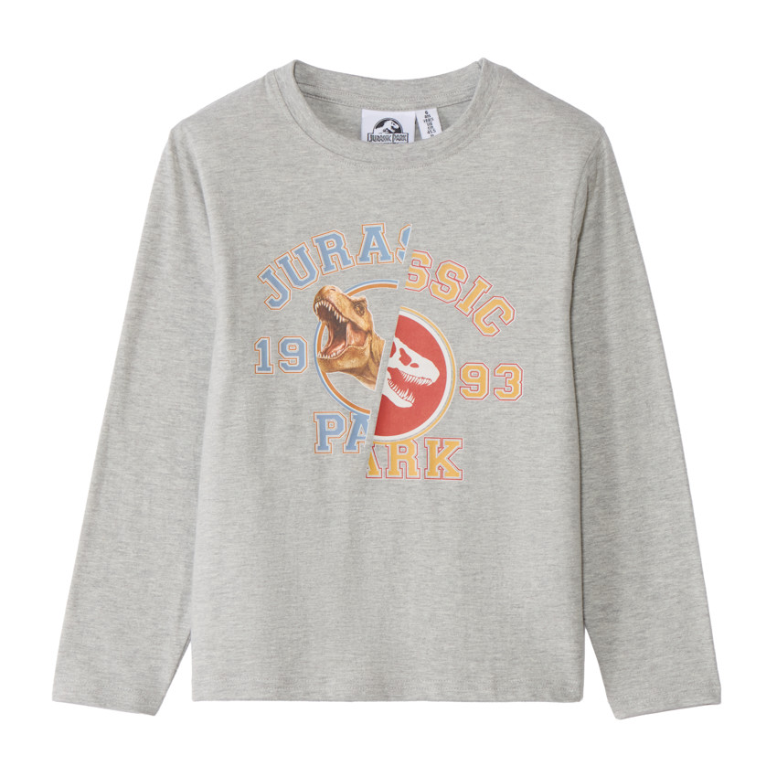 T-shirt manches longues Print dinosaure garçon 